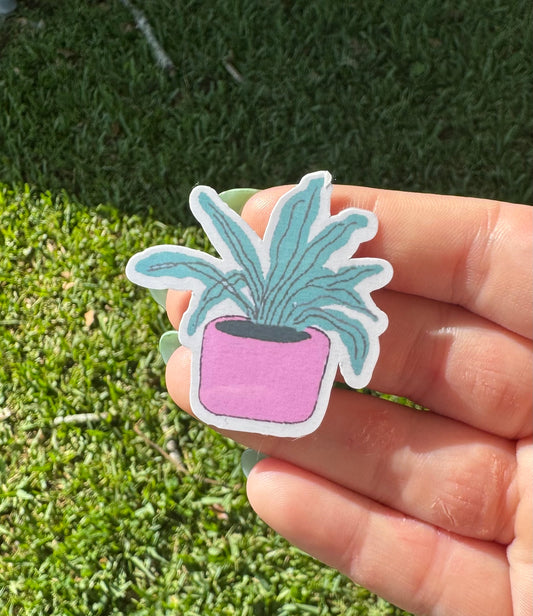 Plant sticker